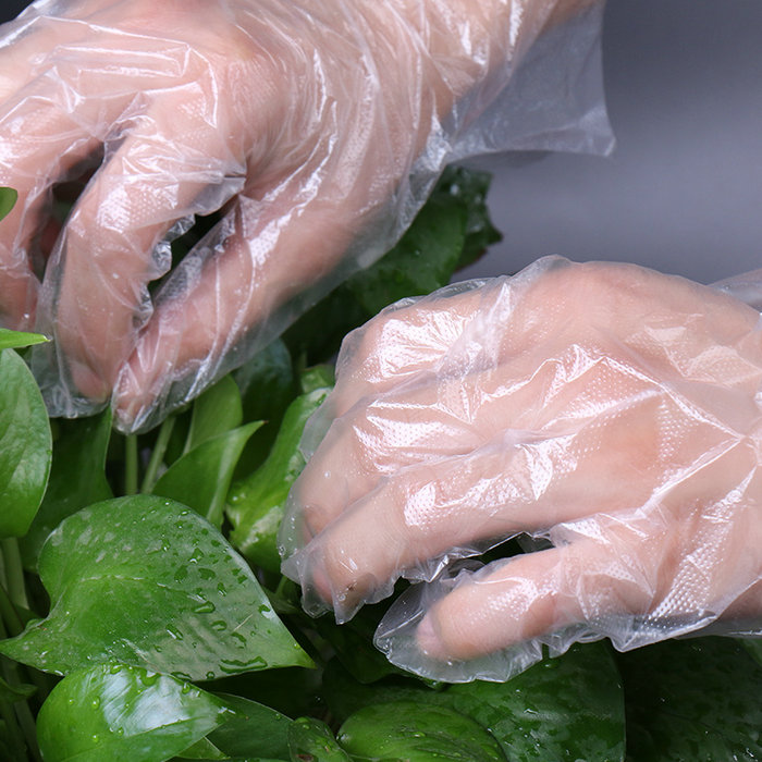 Uso de cocina de plástico para cocinar guantes de poliéster desechables